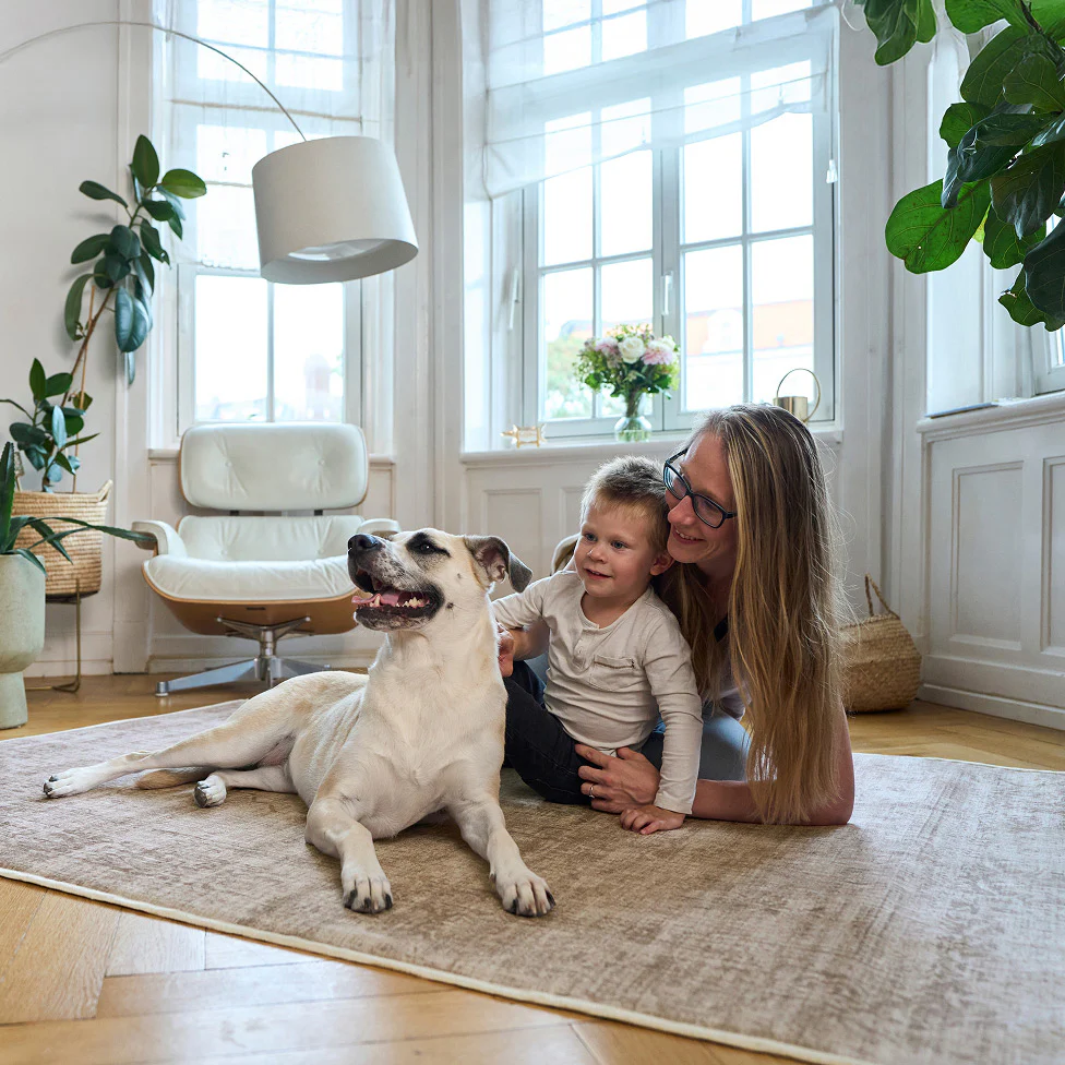 Waschbare Teppiche für dein Zuhause